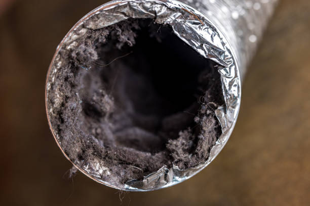 Best Air Duct Sanitizing Services  in Waynesboro, GA